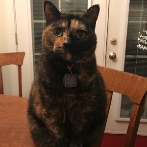 Meet your Posher, Carol